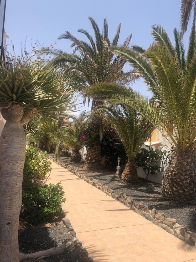 Apartamento Smile Complex Amaya Fuerteventura Costa De Antigua Exterior photo